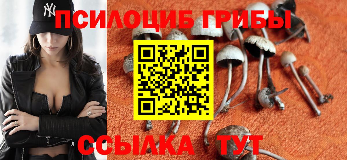 Галлюциногенные грибы Magic Shrooms  Вход с VPN  Баксан 