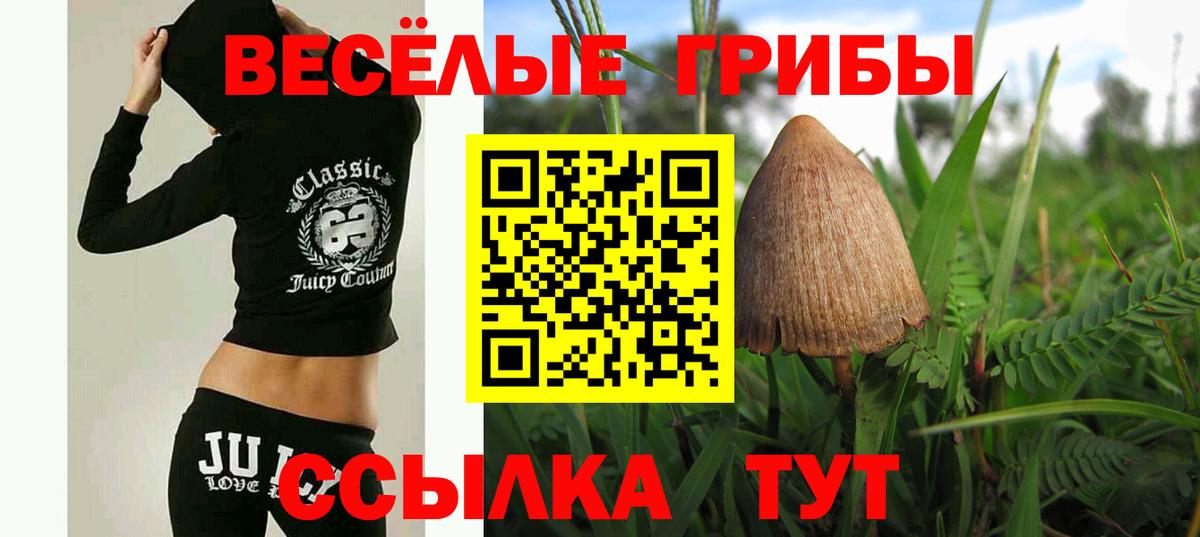 Псилоцибиновые грибы мицелий Баксан